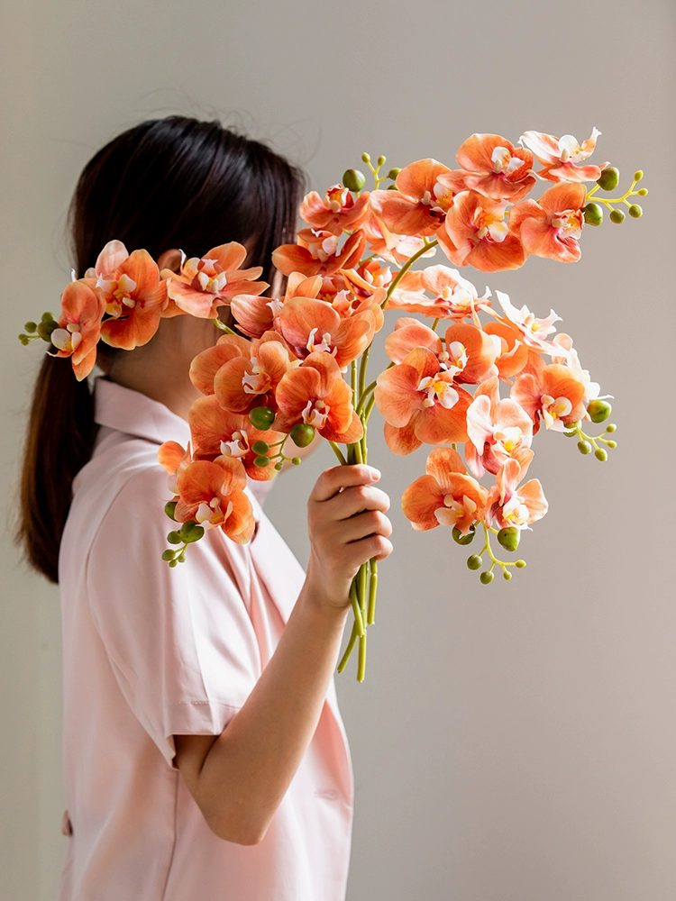 Faux Phalaenopsis orchids stems